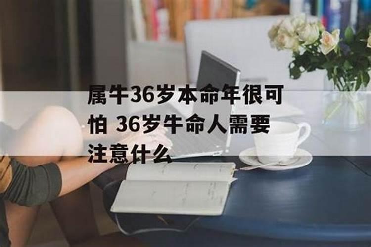 属牛36岁本命年很可怕是真的吗