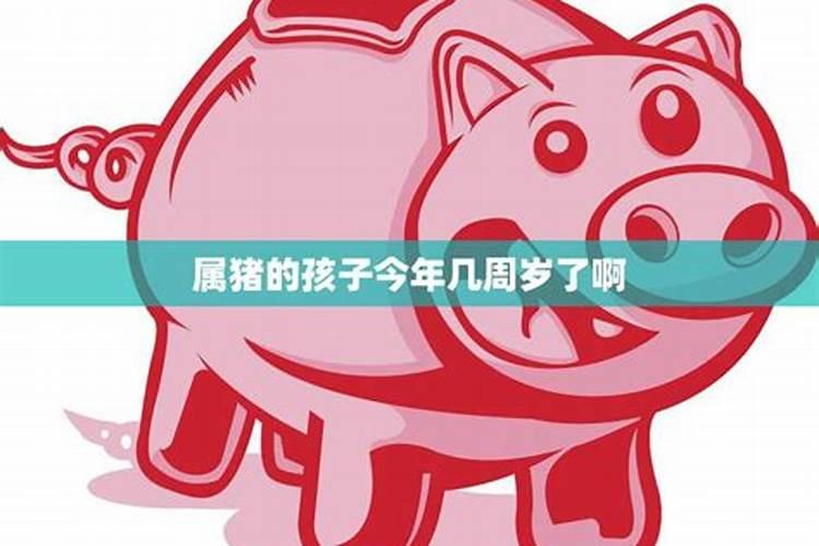 属猪的2021年六十几岁是哪一年的呢女宝宝