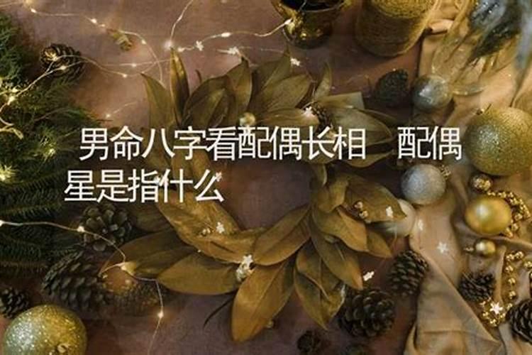 男命八字看命中注定的配偶是什么