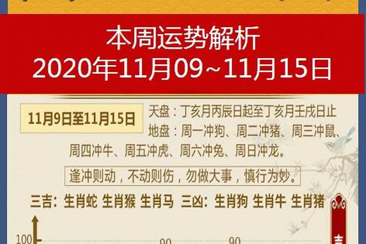 十二生肖运势2023年运程11月12日