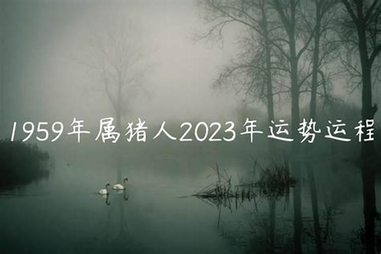 1959年猪男2023年运势