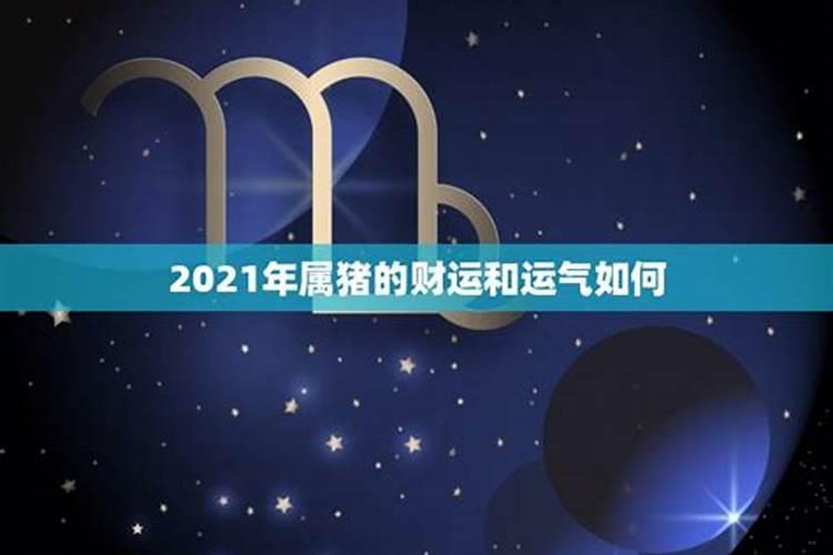 属猪今年的运势2021牛年结婚好吗