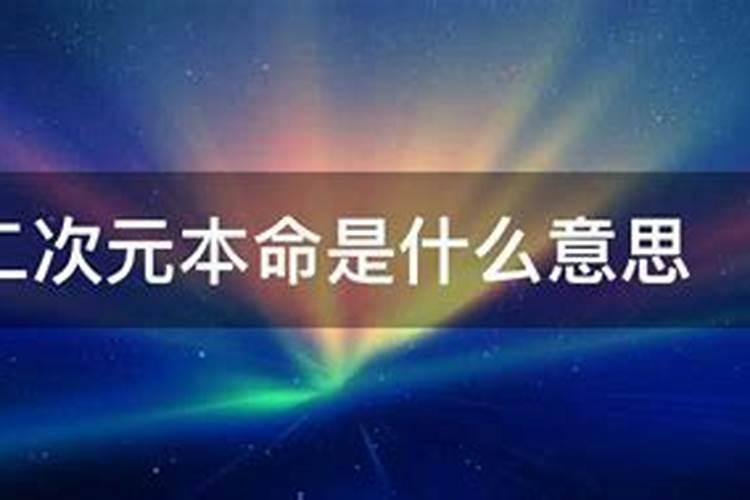 二次元中本命是什么意思