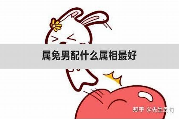 属兔男与什么属相配