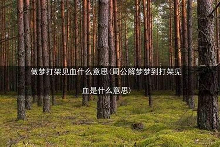 梦见和同学打架见血好不好