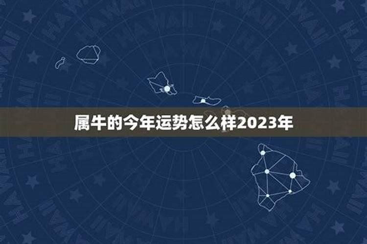 牛年2023年的运势怎么样女