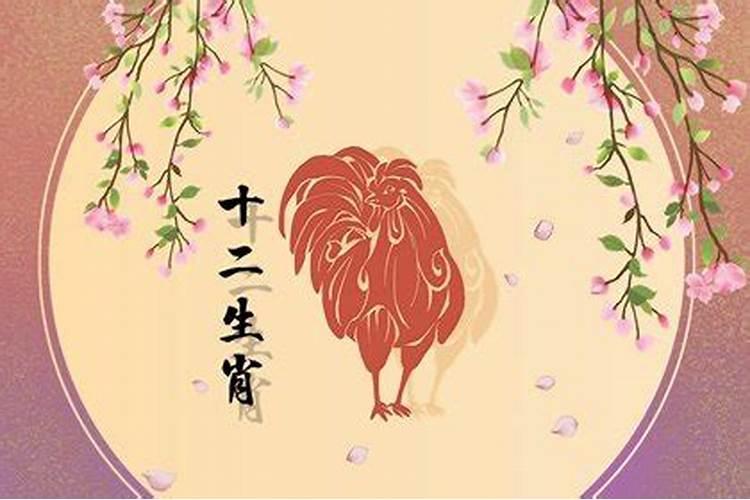 属鸡的男人今年运势好不好