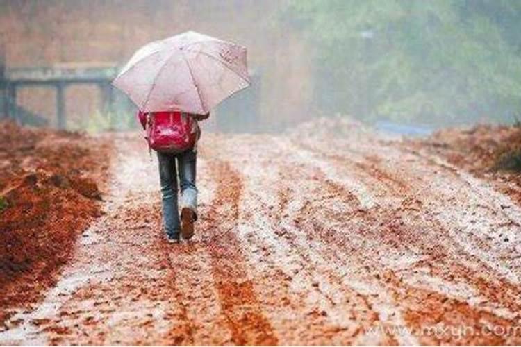 梦见雨水泥泞的路