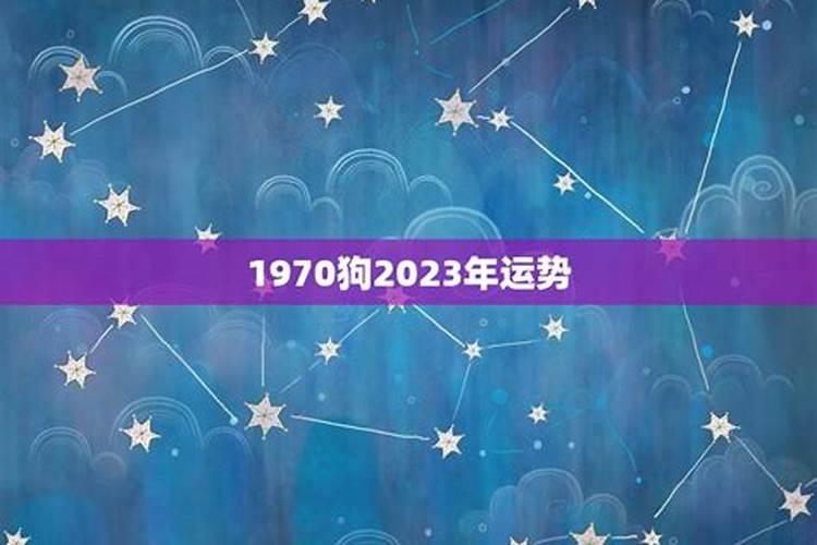 2023年属相蛇全年运势如何