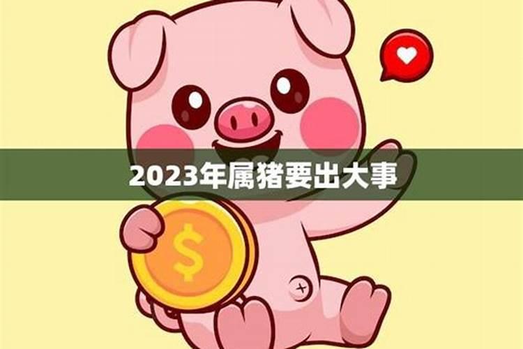 猪生肖2023年运势