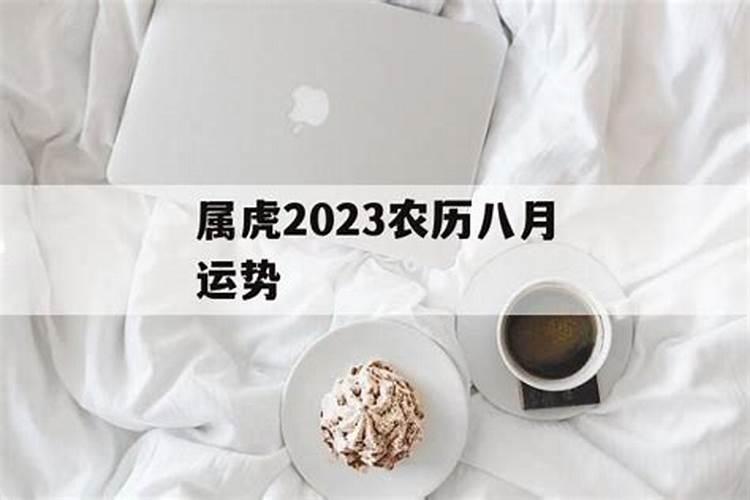 2023农历八月运势如何