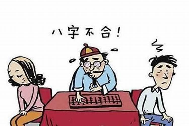 合婚算八字龙跟兔合不合