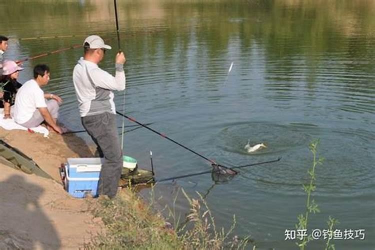 梦到大水把鱼冲上岸