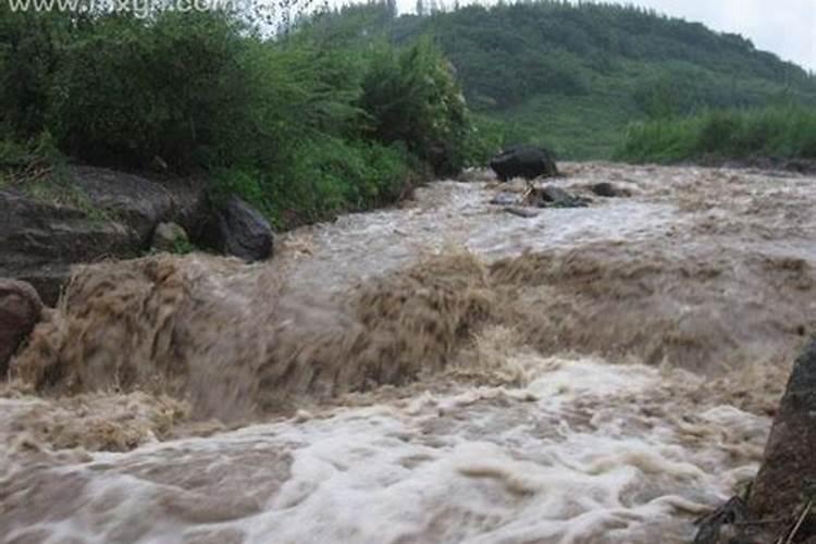 梦见山洪爆发向我涌来,淹没所有生物