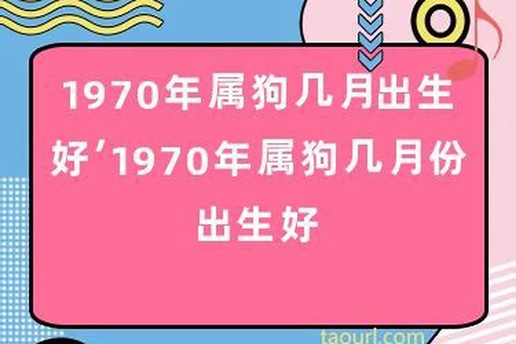 1970狗运势几月出生好