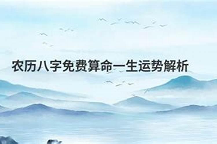 本命年属虎带什么好