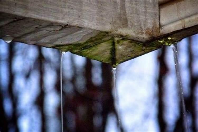 做梦梦见屋漏雨雨水滴到了被子上