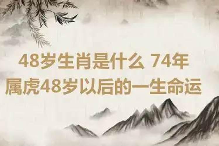 74年属虎48岁以后的一生命运