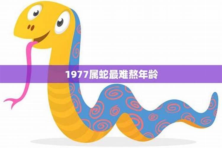 77年属蛇人一生劫难