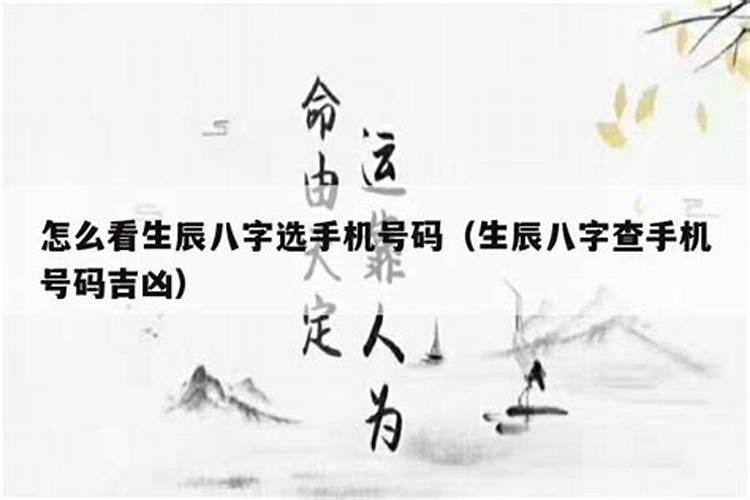 生辰八字用什么手机号