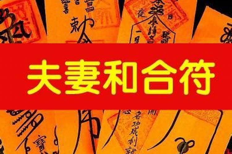 属马和属蛇今年运势怎么样呢