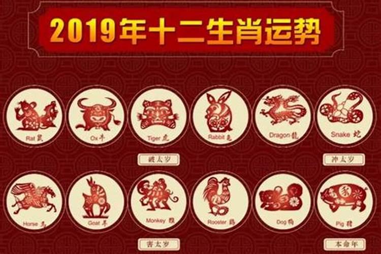 属龙2021年1月30日运势