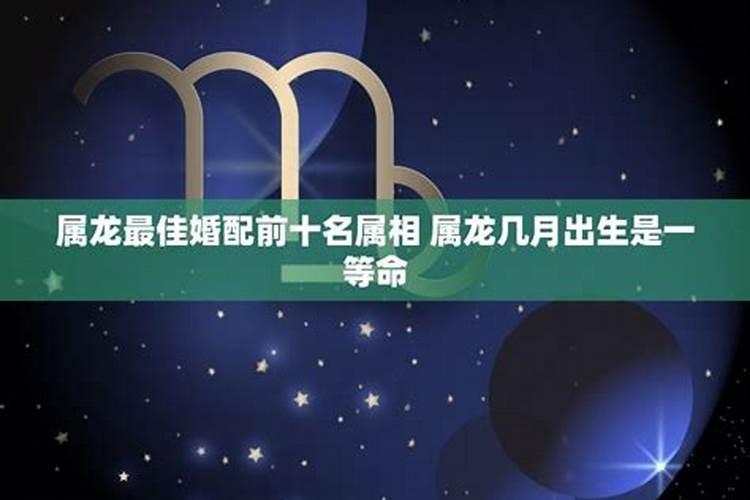 女龙最佳婚配星座排名表