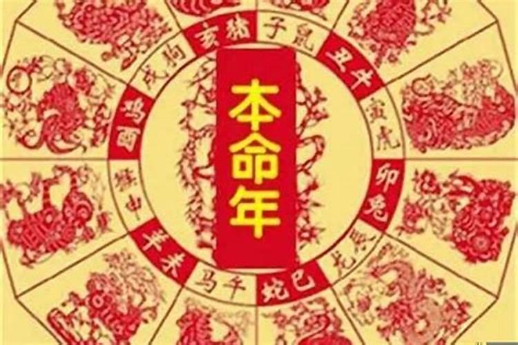 2023本命年犯太岁怎么破