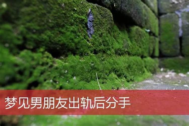 梦见男朋友出轨后分手了啥意思