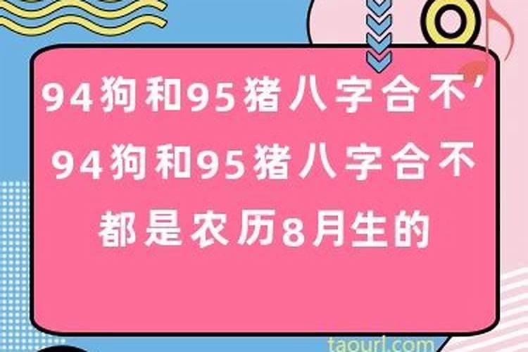 狗和家有没有八字不合一说