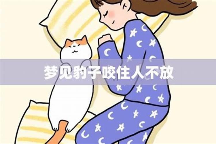 梦见豹子咬住我手不松口