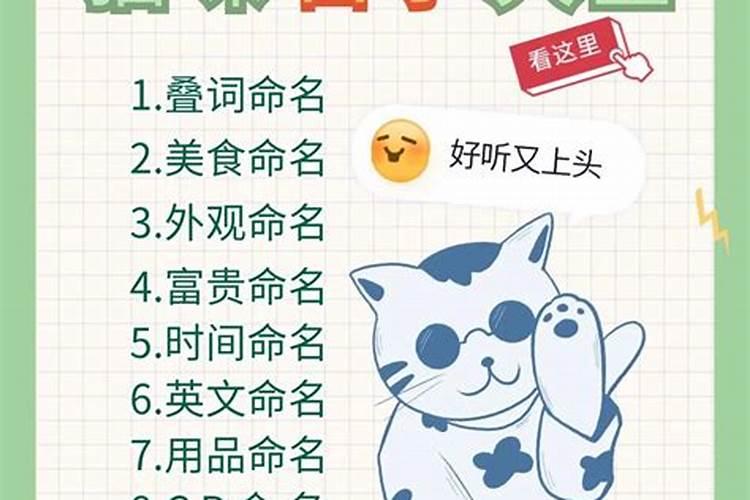 冬至出生的猫取名字好吗