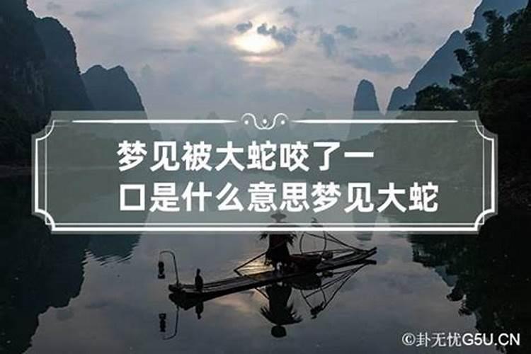 梦到蛇把我咬了一口没流血