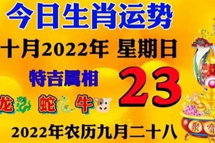 2021年10月23号12生肖运势