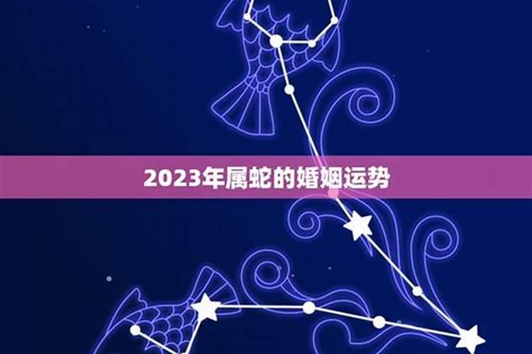 2023蛇婚姻运势如何