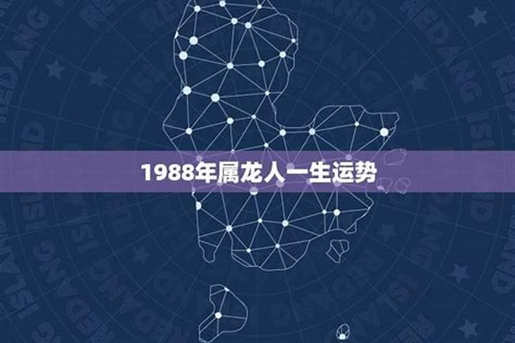 1988年出生的人一生运势