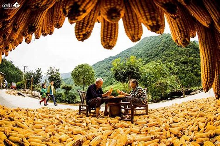 清明节祭祖用什么祭品比较好