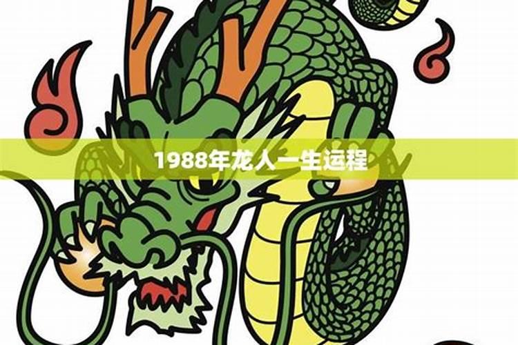 1988年的命运和感情