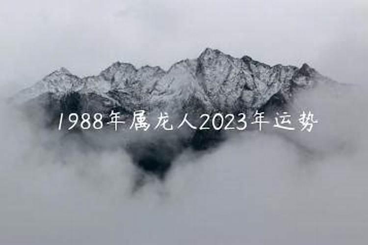 1988年属龙女2023年适合生孩子吗