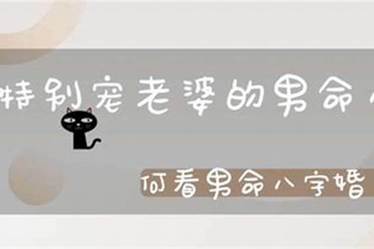 不怕老婆的八字