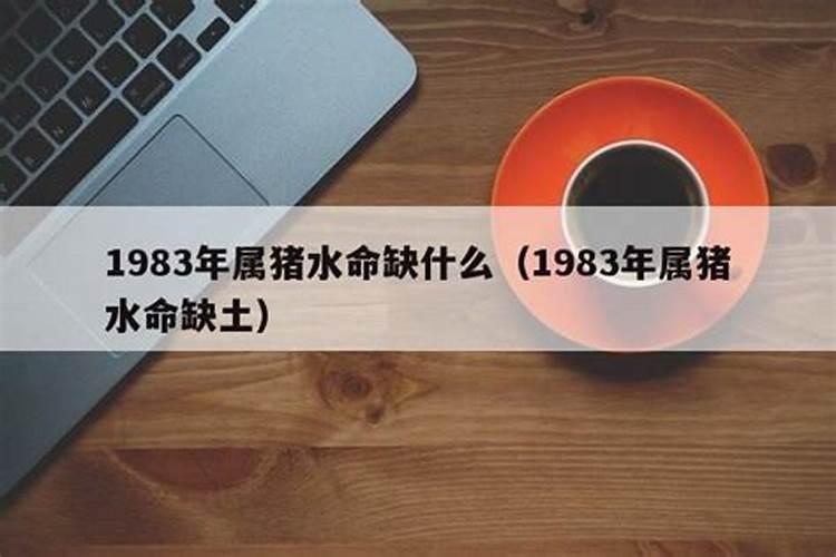 属猪的1983年是什么水命