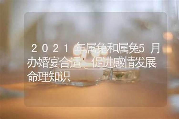 2021年兔婚姻