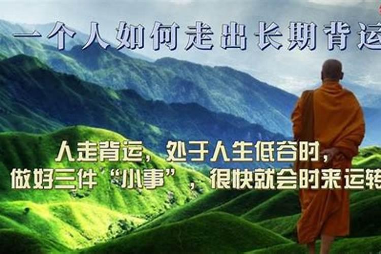 做梦梦到狗缠着自己想让我收养它,我没有收养