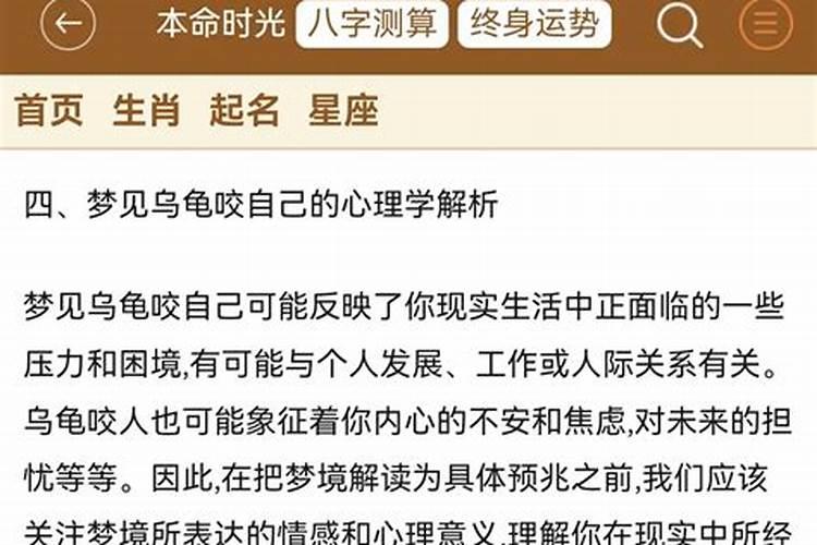 梦见自己被乌龟咬了手,出了好多血