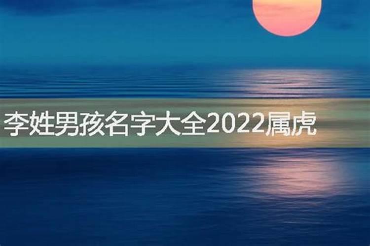 李姓男孩单名字大全2022属虎