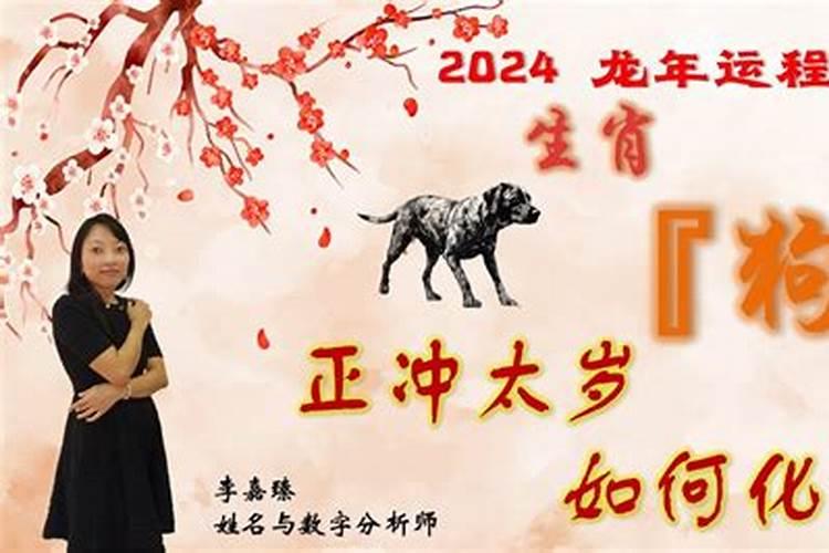 属鼠2024年运势与运程