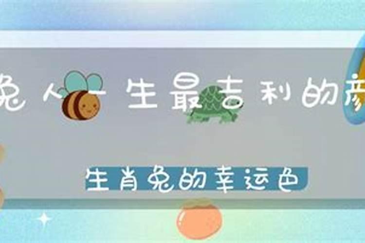 属兔人一生最旺的颜色和数字