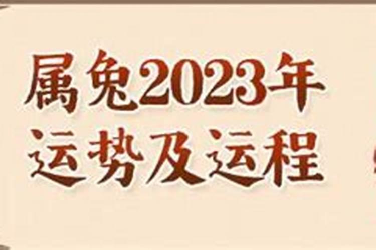 属兔男性人2023年运势运程