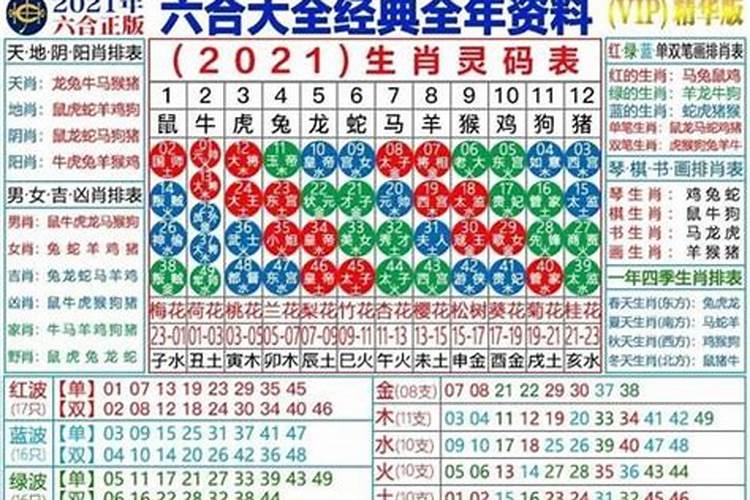 最新2019年生肖49码表