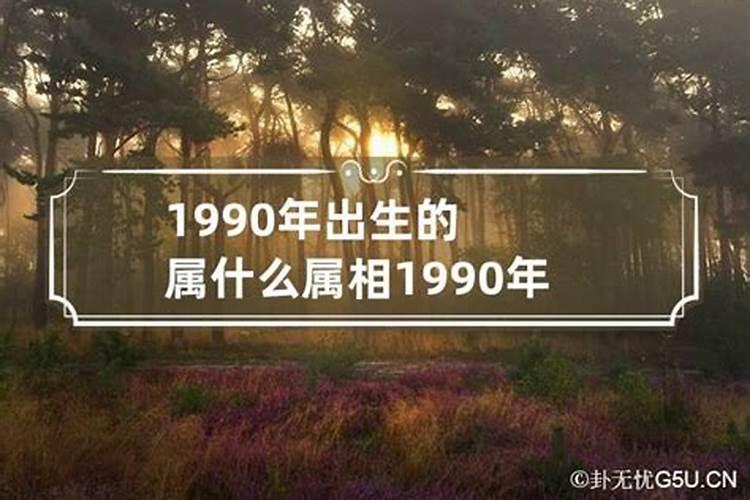 1990年5月出生属什么